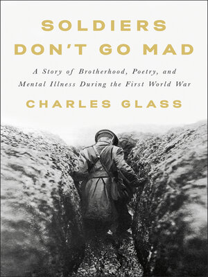 cover image of Soldiers Don't Go Mad